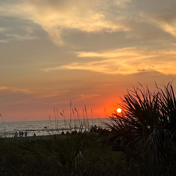 Meet your Posher, MJ - Picture 8 of 9